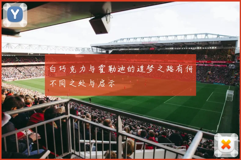 白巧克力与霍勒迪的追梦之路有何不同之处与启示
